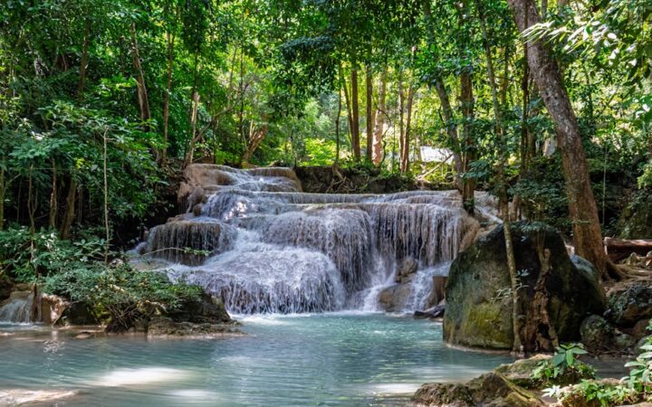 How to Plan the Ultimate Eco-Friendly Vacation in 2026