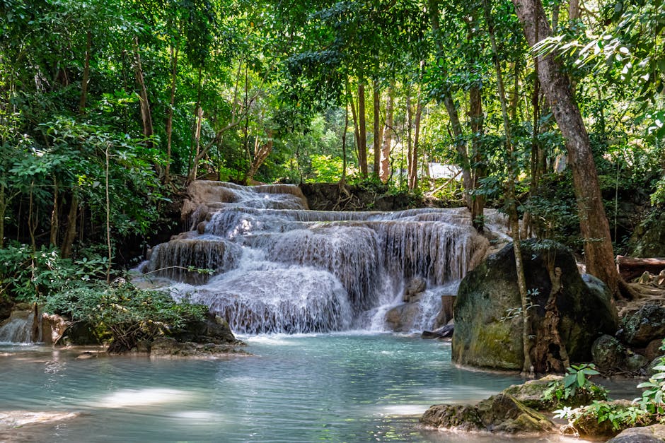 How to Plan the Ultimate Eco-Friendly Vacation in 2026