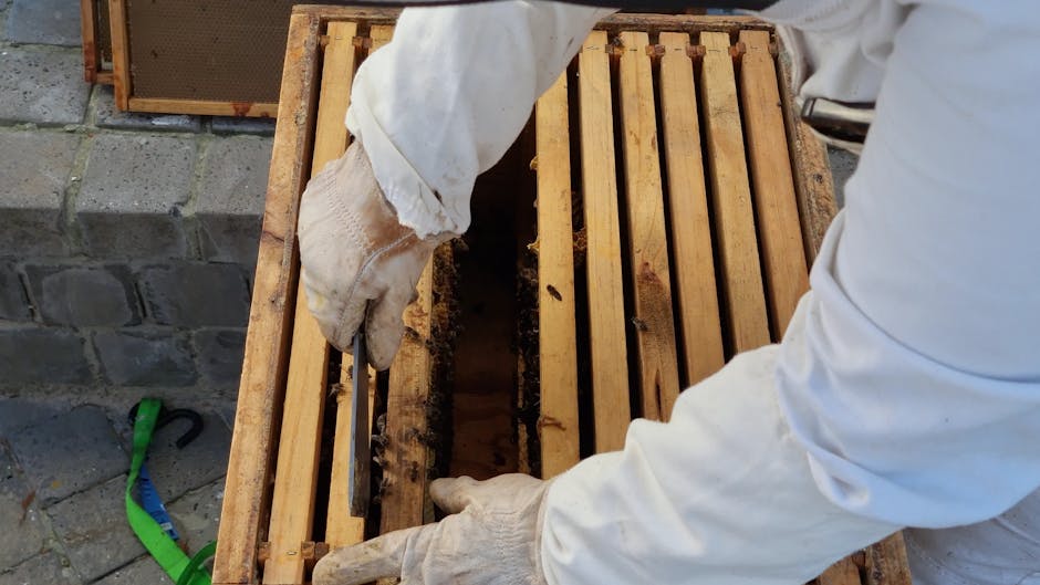 The Quirky World of Urban Beekeeping in 2026: A Buzzing Trend You Need to Know About