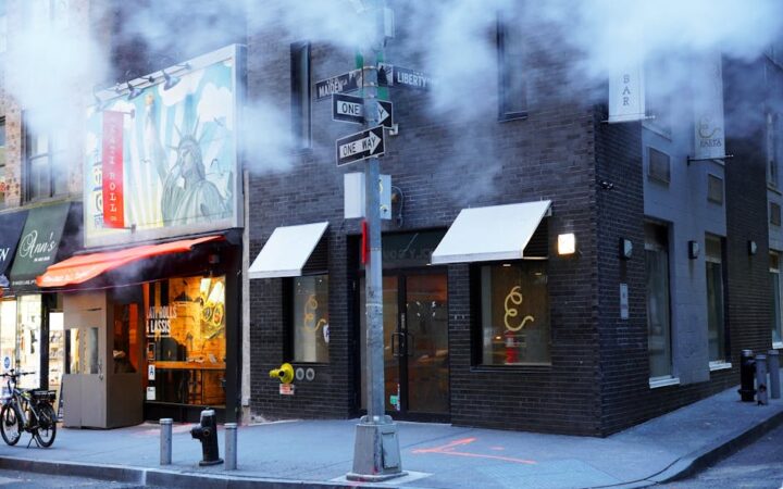 15 Best Vegan Restaurants to Visit in New York City in 2026