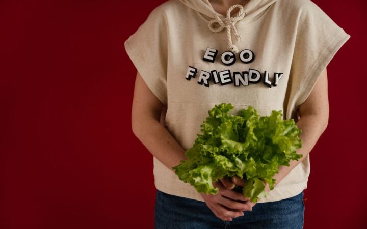 The 2026 Guide to Eco-Friendly Fashion: Transforming Your Wardrobe with Style and Sustainability